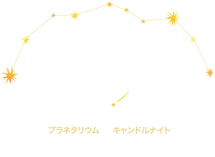 100万星のパノラマスターナイト｜アマンダンスカイ｜長野の結婚式場ならノバレーゼ
