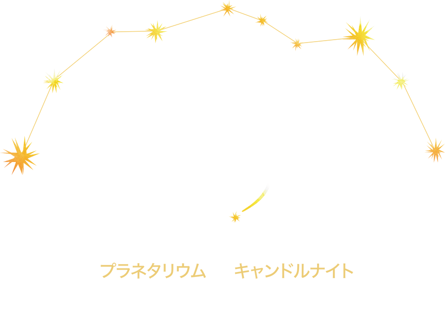 100万星のパノラマスターナイト｜アマンダンテラス｜名古屋の結婚式場ならノバレーゼ