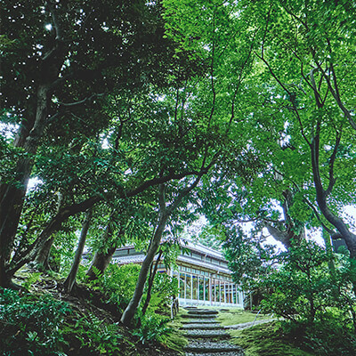 石川(金沢)の結婚式場 辻家庭園の雰囲気写真6